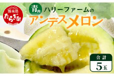 【2025年5月上旬～発送 先行予約】アンデスメロン 青肉 5玉  (合計 約4.5～5kg) 熊本県 多良木町産【 果物 フルーツ メロン 先行予約 5個 青肉 ミツバチ交配 期間限定 数量限定 】109-0501-2025