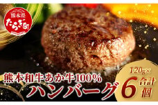 あか牛 100％ ハンバーグ セット 120g×6個 NEWパッケージ 甲誠牛BOX 【 ハンバーグ あか牛 牛肉 肉 熊本産 ギフト 贈り物 贈答 和牛 旨味 うま味 ぎっしり 熊本県 多良木町 牛肉 】046-0645