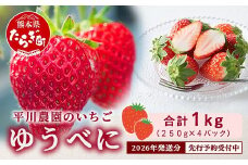 【2026年出荷 先行予約】熊本県産 いちご ゆうべに 1箱 (250g×4パック) 令和8年3月～発送イチゴ 果物 フルーツ 熊本県 多良木町 農園直送 107-0501