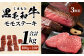 【定期便3回】 1kg×3種！ くまもと ビーフ 満喫 お楽しみ定期便 計3kg