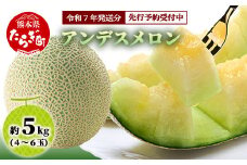 【2025年4月下旬〜順次発送 先行予約】アンデスメロン 4玉〜6玉（約5kg）多良木町 熊本県 メロン フルーツ 果物 期間限定 数量限定 108-0501
