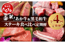【定期便 4回】豪華！ あか牛 ＆ 黒毛和牛 ステーキ 食べ比べ 定期便≪ 牛肉 ブランド牛 黒毛 希少 褐毛和種 ステーキ サーロイン バラエティ 定期便 熊本県産 ≫092-0020