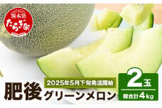 【2025年5月下旬～順次発送】熊本県産 肥後 グリーンメロン 【大玉】 2玉／合計4kg以上【 メロン 果物 フルーツ 旬 甘い デザート くだもの 大玉 4kg 熊本 多良木 産地直送 】 008-0662-2025
