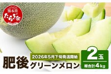 【2026年5月下旬～順次発送】熊本県産 肥後 グリーンメロン 【大玉】 2玉／合計4kg以上【 メロン 果物 フルーツ 旬 甘い デザート くだもの 大玉 4kg 熊本 多良木 産地直送 】 008-0662-2025