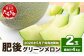 肥後グリーン メロン 大玉 2玉(合計4kg)