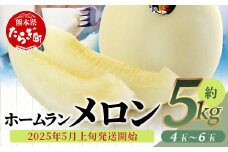 【2025年5月上旬発送開始】【先行予約】ホームランメロン 5kg(4-6玉) 【 予約 ご予約 先行 メロン フルーツ デザート 果物 熊本県 多良木町 】008-0661-2025