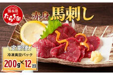 【定期便12回】赤身 馬刺し ブロック 200g (100g×2)×12回 【 合計 2.4Kg 】 冷凍真空パック【 熊本県 多良木町 たらぎ 馬肉 馬刺し 冷凍 真空 熊本肥育 】 041-0162