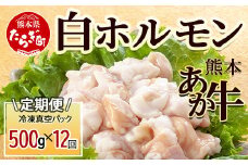 【定期便12回】熊本あか牛 白ホルモン 500g (250g×2)×12回 【 合計 6Kg 】 冷凍真空パック【 熊本 熊本県産 あか牛 冷凍 真空 もつ鍋 ホルモン 焼き肉 】 041-0163