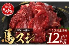 【 定期便 12回 】 熊本県 馬スジ 1㎏（ 500g×2 ） × 12回 【 合計 12kg 】 【 馬肉 すじ肉 大容量 本場 熊本県 馬 赤身 煮込み カレー シチュー 冷凍 真空 熊本 肥育 ヘルシー 赤身 肉 高栄養 肉 】 041-0169