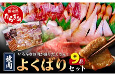 【数量限定】 村上精肉店の 焼肉 よくばりセット 【 9品 味付き 焼くだけ 】 牛カルビ ハラミ 豚バラ タン トントロ 鶏せせり 鶏もも 手羽先 ウインナー 焼き肉 BBQ アウトドア キャンプ 021-0667