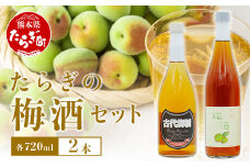 たらぎの 梅酒 セット 720ml × 2本 ≪古代梅酒≫≪ 梅酒文蔵≫ 球磨焼酎 多良木町 米 焼酎 梅 うめ酒 お酒 球磨 贈り物 ギフト 熊本県 多良木町 015-0689