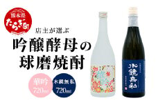 【吟醸香】店主が選ぶ 吟醸酵母 の 球磨焼酎 2本セット 720ml 25度 × 2本  芳香 吟醸 米焼酎  米 焼酎 お酒 球磨 球磨焼酎 贈り物 ギフト 熊本県 多良木町 015-0688