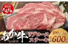 【GI認証】くまもとあか牛 リブロースステーキ 200g×3枚【合計 600g】 熊本県産 ブランド くまもと あか牛 和牛 極上 希少 牛肉 ロース ステーキ 赤身  肉 熊本 046-0673