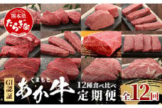 【定期便 12回】≪GI認証≫くまもと あか牛 12種 食べ比べ【ご褒美 定期便】ステーキ  シャトーブリアン サーロイン ランプ ミスジ リブ ロース 12回配送 ステーキ 和牛 あか牛 牛肉 赤身 肉 和牛 046-0677