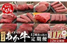【定期便 12回】≪GI認証≫くまもと あか牛 12種 食べ比べ【家族で ご褒美 定期便】ステーキ  シャトーブリアン サーロイン ランプ ミスジ リブ ロース 12回配送 ステーキ 和牛 あか牛 牛肉 赤身 肉 和牛 046-0678
