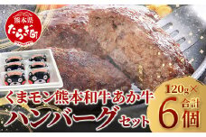 【 通常発送 】熊本県産 あか牛 100％ ハンバーグ 120g×6個 セット くまモン パッケージ 牛肉 くまモン ハンバーグ あか牛 牛肉 肉 熊本産 国産牛 和牛 うま味 はんばーぐ 熊本県 046-0639