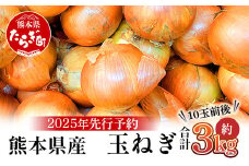 【先行予約】熊本県産 玉ねぎ 3kg (10玉前後) ≪2025年4月下旬から順次発送≫ 玉葱 野菜 数量限定 たまねぎ オニオン 甘い サラダ ハンバーグ 肉じゃが カレー 065-0635