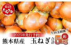【先行予約】熊本県産 玉ねぎ 5kg (16玉前後) ≪2025年4月下旬から順次発送≫ 玉葱 野菜 数量限定 たまねぎ オニオン 甘い サラダ ハンバーグ 肉じゃが カレー 065-0636