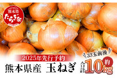 【先行予約】熊本県産 玉ねぎ 10kg (33玉前後) ≪2025年4月下旬から順次発送≫ 玉葱 野菜 数量限定 たまねぎ オニオン 甘い サラダ ハンバーグ 肉じゃが カレー 065-0637