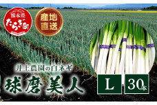 【先行予約】井上農園の白ネギ 「球磨美人」 Lサイズ×30本 【2025年8月上旬より順次発送】 白ネギ 白葱 ネギ 長ネギ 長葱 ねぎ 鍋 薬味 冬野菜 国産 114-0502