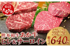 【 年内お届け 】 熊本県産 あか牛 極上 ヒレ ＆ サーロイン ステーキ セット 計640g 【 あか牛 ヒレス テーキ 120g×2枚、あか牛 サーロイン ステーキ 200g×2枚 】 《 12月18日～28日発送 》 和牛 ひれ サーロイン 肉 赤身 ステーキ 赤身 熊本県産 褐毛和種 霜降り 046-0631-R612