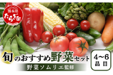【数量限定】野菜ソムリエ 監修 旬の おすすめ 野菜 セット 4〜6種類 (1〜2名様向け) 野菜 獲れたて 直送 旬 熊本県 多良木町 024-0801