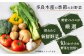 【定期便 3回】野菜ソムリエ監修 旬のおすすめ野菜セット ４〜5品