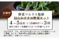 【定期便 3回】野菜ソムリエ監修 旬のおすすめ野菜セット ４〜5品