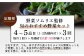 【定期便 3回】野菜ソムリエ監修 旬のおすすめ野菜セット ４〜5品