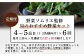 【定期便 6回】野菜ソムリエ監修 旬のおすすめ野菜セット ４〜5品