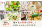 【定期便 6回】野菜ソムリエ監修 旬のおすすめ野菜セット ４〜5品