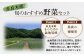 【定期便 12回】野菜ソムリエ監修 旬のおすすめ野菜セット ４〜5品