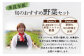 【定期便 12回】野菜ソムリエ監修 旬のおすすめ野菜セット ４〜5品