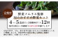 【定期便 12回】野菜ソムリエ監修 旬のおすすめ野菜セット ４〜5品