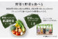 【3回定期便】野菜ソムリエ 監修 野菜で野菜を食べる  野菜セット  (1〜2名様向け)