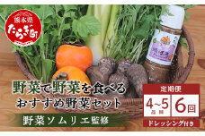 【定期便 6回】野菜ソムリエ 監修  旬の おすすめ 野菜＆野菜で野菜を食べる ドレッシング 定期便  (1〜2名様向け)  4 ~6種類 野菜 獲れたて 直送 旬 新鮮 セット 詰め合わせ 詰合せ  定期便 産地 直送 国産 旬 野菜 ひとり暮らし 夫婦  熊本県 多良木町 ドレッシング 024-0807