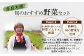 【6回定期便】野菜ソムリエ 監修 野菜で野菜を食べる  野菜セット  (1〜2名様向け)
