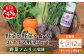 【12回定期便】野菜ソムリエ 監修 野菜で野菜を食べる  野菜セット  (1〜2名様向け)
