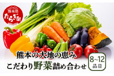 熊本の大地の恵み 旬の こだわり野菜詰め合わせセット 8〜12品 （3〜4名様向け）野菜 獲れたて 新鮮 野菜 セット 詰め合わせ 詰合せ 産地 直送 国産 季節 野菜 家族 ファミリー 多良木町 024-0809