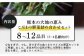 熊本の大地の恵み 旬の こだわり野菜詰め合わせセット 8〜12品 