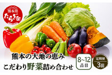 【定期便3回】熊本の大地の恵み 旬の こだわり野菜詰め合わせセット 8〜12品 （3〜4名様向け）3回配送 獲れたて 新鮮 野菜 セット 詰め合わせ 詰合せ 定期便 産地 直送 国産 季節 旬野菜 家族 ファミリー 多良木町 024-0810