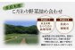 熊本の大地の恵み 旬の こだわり野菜詰め合わせセット 8〜12品 