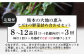 熊本の大地の恵み 旬の こだわり野菜詰め合わせセット 8〜12品 