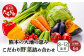 【定期便6回】熊本の大地の恵み 旬の こだわり野菜詰め合わせセット 8〜12品 