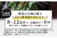 【定期便6回】熊本の大地の恵み 旬の こだわり野菜詰め合わせセット 8〜12品 