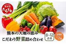 【定期便12回】熊本の大地の恵み 旬の こだわり野菜詰め合わせセット 8〜12品 （3〜4名様向け）12カ月配送 獲れたて 新鮮 野菜 セット 詰め合わせ 詰合せ 定期便 産地 直送 国産 季節 旬野菜 家族 ファミリー 多良木町 024-0812