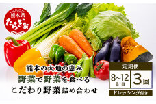 【定期便3回】熊本の大地の恵み≪ 野菜で野菜を食べる ≫ 旬のこだわり 野菜 ＆ドレッシング セット  (3〜4名様向け) 野菜 獲れたて 8～12品 直送 旬 新鮮 定期便 野菜ドレッシング 詰め合わせ 詰合せ  熊本県 多良木町 024-0814