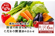 【定期便6回】熊本の大地の恵み≪ 野菜で野菜を食べる ≫ 旬のこだわり 野菜 ＆ドレッシング セット  (3〜4名様向け) 野菜 獲れたて 8～12品 直送 旬 新鮮 定期便 野菜ドレッシング 詰め合わせ 詰合せ  熊本県 多良木町 024-0815
