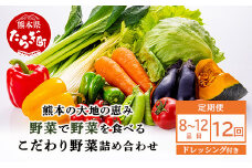 【定期便12回】熊本の大地の恵み≪ 野菜で野菜を食べる ≫ 旬のこだわり 野菜 ＆ドレッシング セット  (3〜4名様向け) 野菜 獲れたて 8～12品 直送 旬 新鮮 定期便 野菜ドレッシング 詰め合わせ 詰合せ  熊本県 多良木町 024-0816