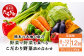 定期便6回【 野菜で野菜を食べる 】旬のこだわり 野菜 ＆ドレッシング セット  (3〜4名様向け) 